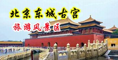 国产偷奸c逼中国北京-东城古宫旅游风景区